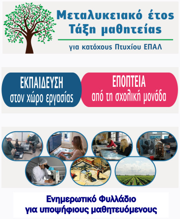 Τάξη Μαθητείας - Ενημερωτικό Φυλλάδιο